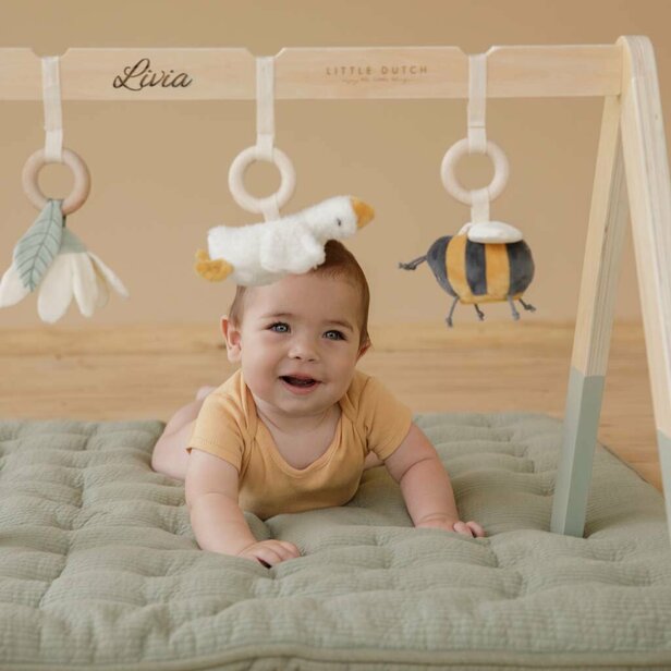 Babygyms