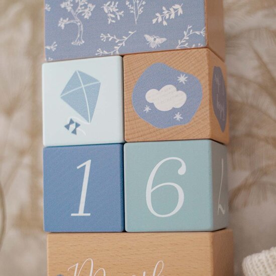 Mijlpaal blokken - Label Label