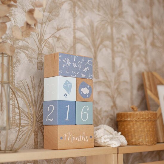 Mijlpaal blokken - Label Label