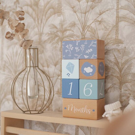 Mijlpaal blokken - Label Label