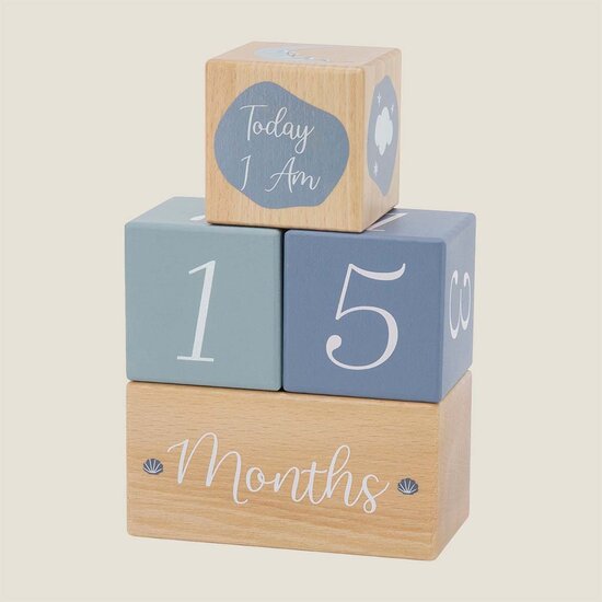 Mijlpaal blokken - Label Label