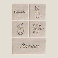 Geboorteblokken - Konijn