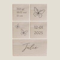 Geboorteblokken - Vlinders