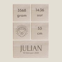 Geboorteblokken - Leeuw