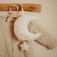 Muziekdoosje Newborn Naturals - Little Dutch