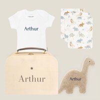 Kraamcadeau koffertje - Dino