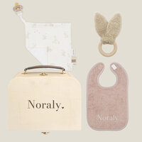 Kraamcadeau koffertje - Little Dutch Meisje