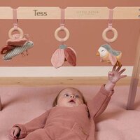 Babygym - Flowers & Butterflies - Little Dutch