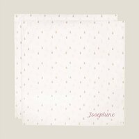 Hydrofiele doeken - 2 stuks - Jollein x Nijntje