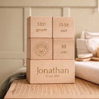 Geboorteblokken - Leeuw