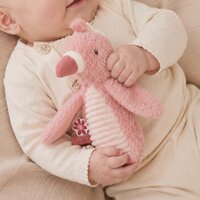 Knijprammelaar Flamingo - Little Dutch
