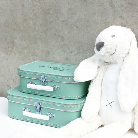 Koffer bedrukken - Mint
