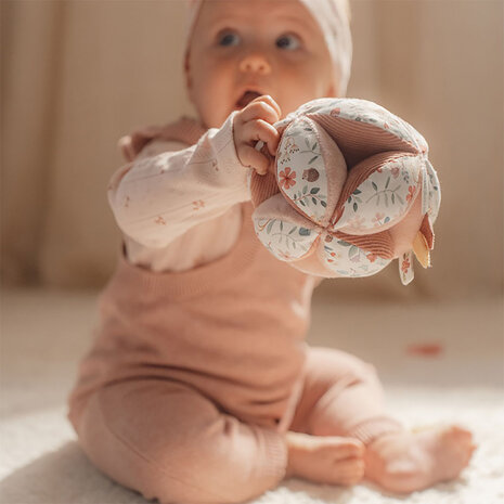 Grijpbal - Little Dutch