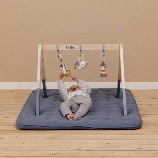 Babygym - Little Dutch
