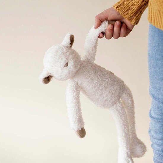 KC Boutique - Teddy