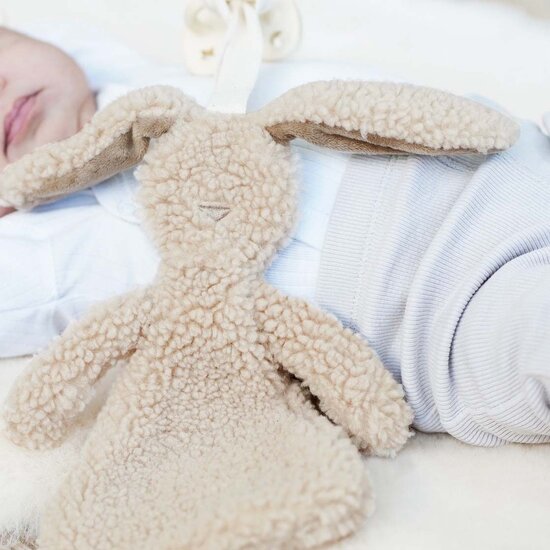 Brievenbus cadeau -  knuffeldoekje Ted