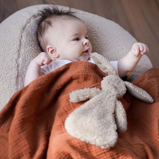 Brievenbus cadeau -  knuffeldoekje Ted