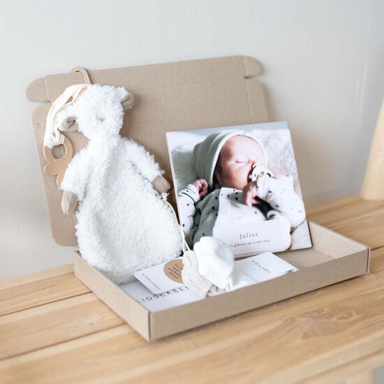 Brievenbus cadeau -  knuffeldoekje Charlie