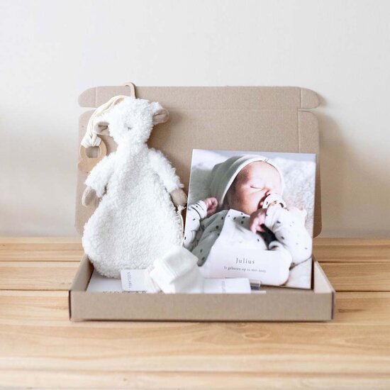 Brievenbus cadeau -  knuffeldoekje Charlie