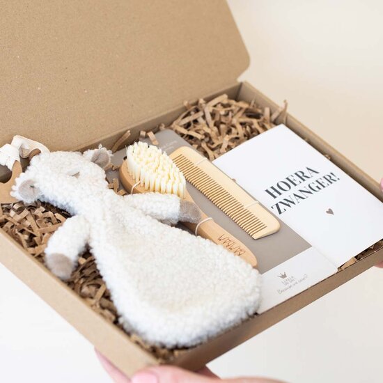 Brievenbus cadeau - Hoera zwanger!