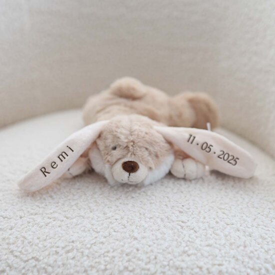 Kleine Konijn knuffel