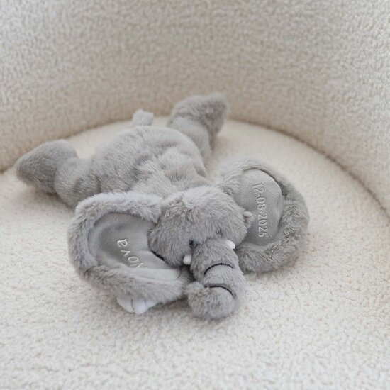 Kleine Olifant knuffel