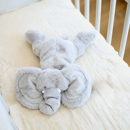 Kleine Olifant knuffel