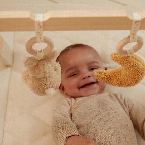 Babygym - Newborn Naturals - Little Dutch