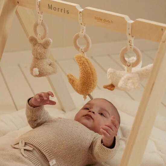 Babygym - Newborn Naturals - Little Dutch