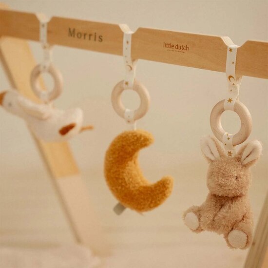 Babygym - Newborn Naturals - Little Dutch
