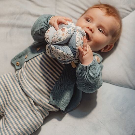 Grijpbal - Little Dutch