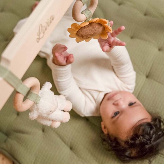 Babygym - Little Farm - Little Dutch