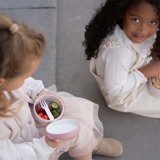 Fruitbox - Little Dutch