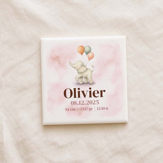 Geboortetegel - Olifant