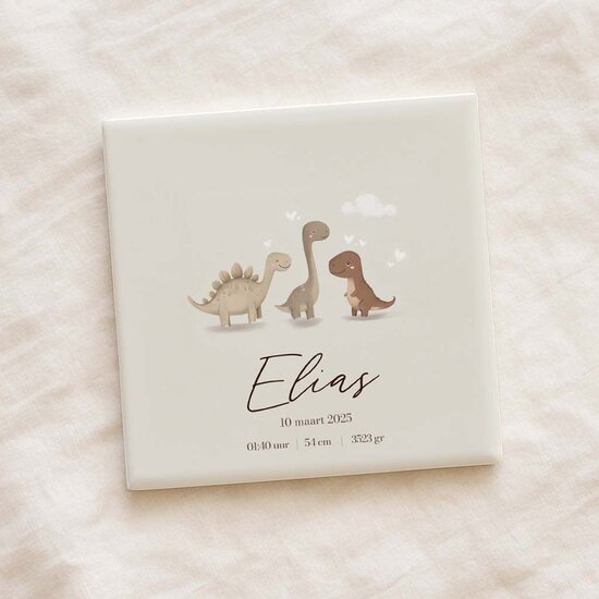 Geboortetegel&nbsp;- Dinos