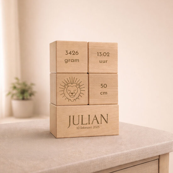 Geboorteblokken - Leeuw