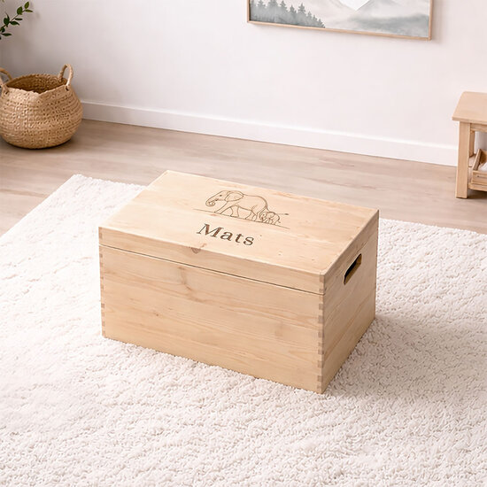 Herinneringskist - Olifantjes