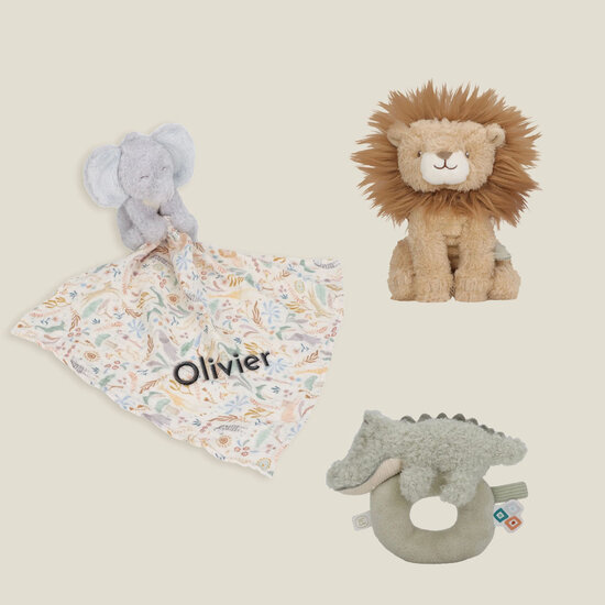Cadeaubox - Little Dutch