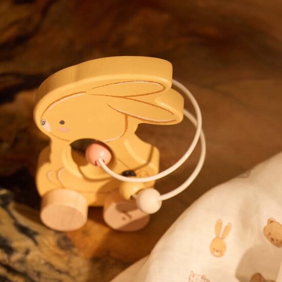 Houten Giftset - Bunny Luz - Jollein