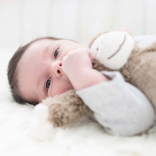 Happy Horse Aap Mickey Happy Horse Aap Mickey