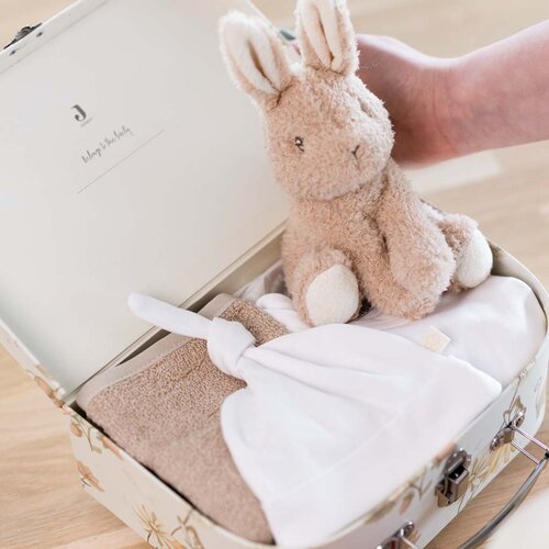 Jollein kraamcadeau - Dreamy Mouse