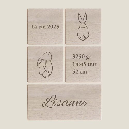 Geboorteblokken - Konijn
