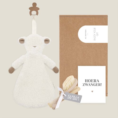 Brievenbus cadeau - Hoera zwanger!