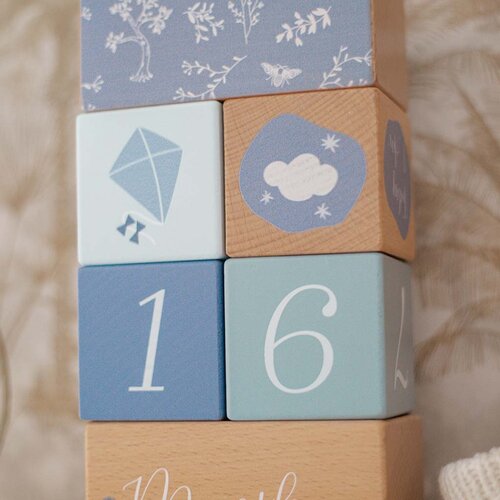 Mijlpaal blokken - Label Label