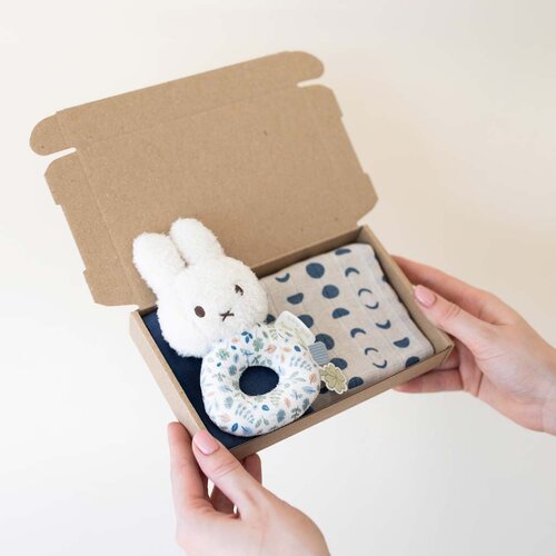 Brievenbus cadeau -  Nijntje rammelaar