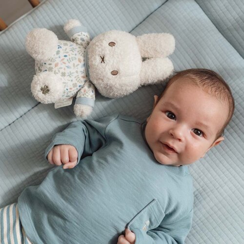 Kraamcadeau Nijntje - Jongen