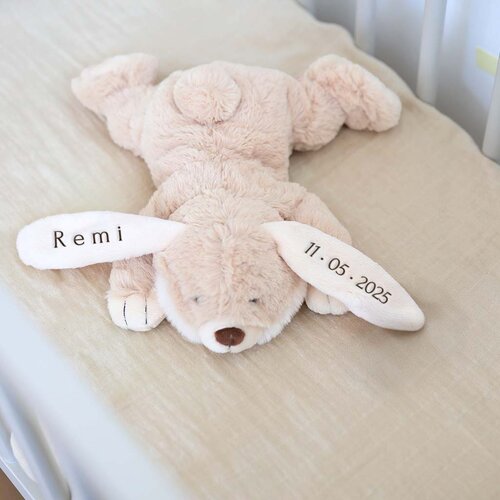 Kleine Konijn knuffel