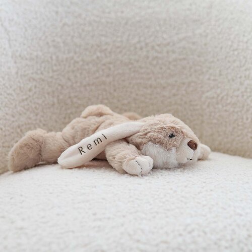 Kleine Konijn knuffel