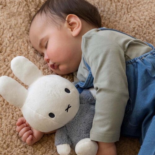 Cadeaubox groot - Nijntje