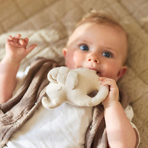 Rammelaar - Elephant Tales - Jollein 